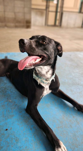 Screenshot 2025-07-23 130337