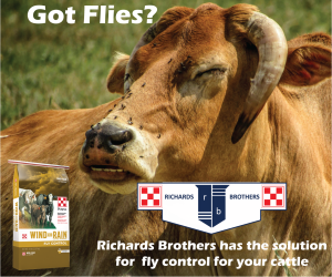 Richards Brothers – Annual