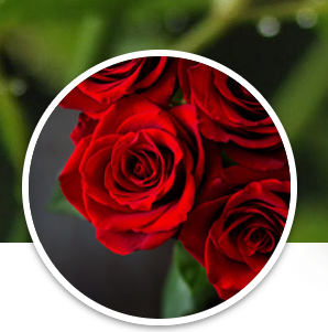 Screenshot 2025-08-26 133144