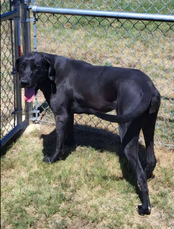 Screenshot 2025-09-04 130659