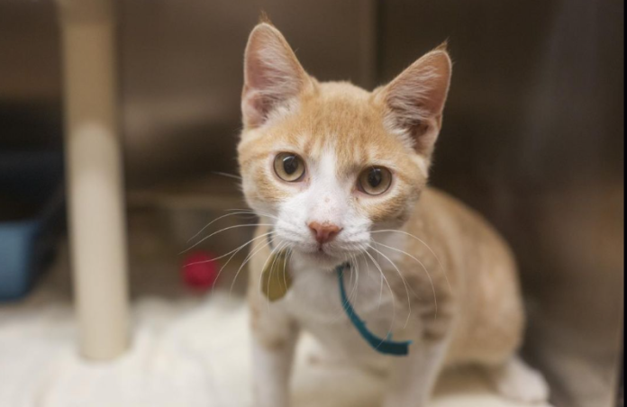 Screenshot 2025-09-05 170832