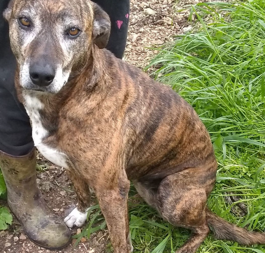 Screenshot 2025-09-08 115443