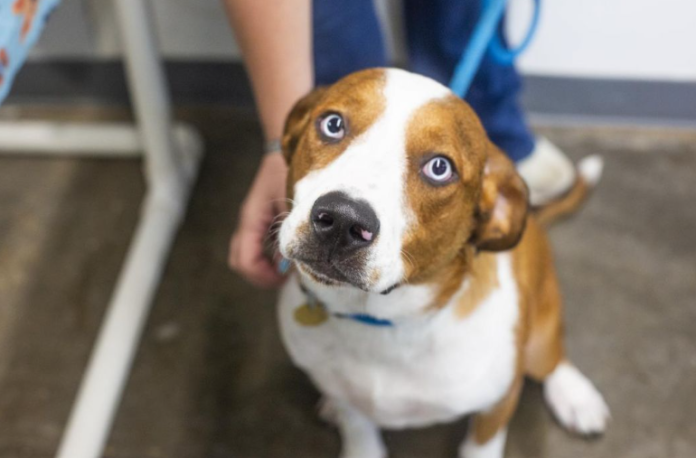 Screenshot 2025-09-08 121236