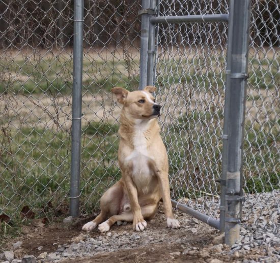 Screenshot 2025-09-15 122334