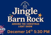 Christmas Light Show with Over 20,000 Lights Planned in Willow Springs