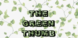 A Haunting in the Greenhouse – The Green Thumb Chronicles