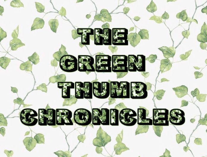 GreenThumbChronicle