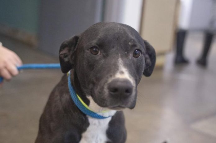 Screenshot 2025-10-27 153125