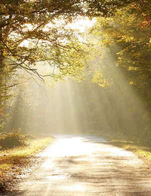 Screenshot 2025-10-29 162306