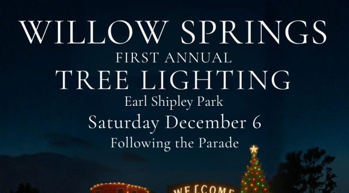 Willow Springs to Host First Annual Christmas Tree Lighting at Earl Shipley Park