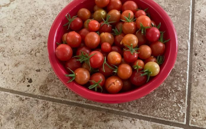 FB_IMG_1751150144603-1080x675