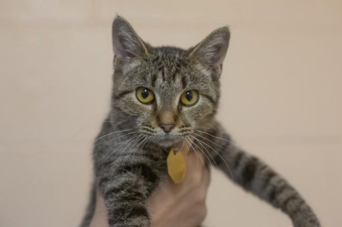 Screenshot 2025-11-03 150254