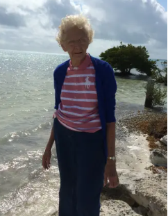 Screenshot 2025-11-05 152125