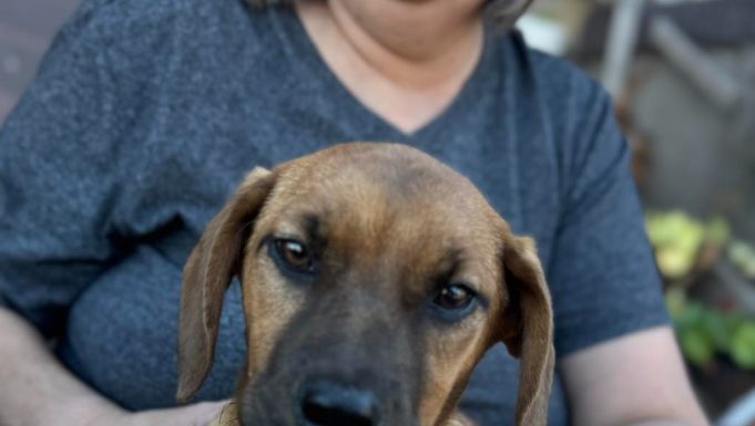 Featured Pets of The Day- Violet & Rose