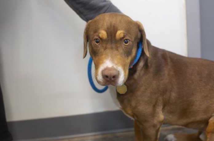 Screenshot 2025-11-24 153451