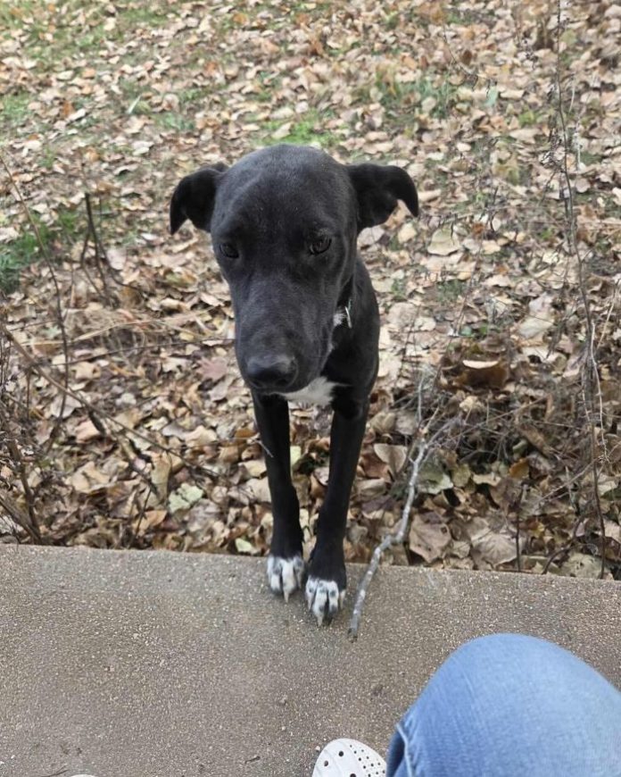 Screenshot 2025-11-24 160123