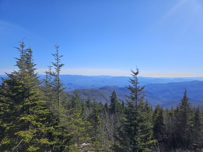 LaVerne “Barney” Pessman