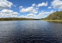 Explore new fishing, picnicking, and trail opportunities at these MDC lakes in the Ozarks