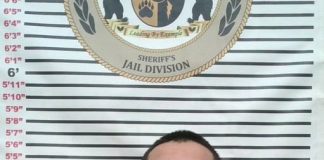 Howell County Theft Investigation Leads to Pursuit and Arrest