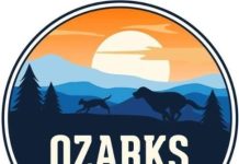 Featured Pets of The Day- Four Dogs In Need of New Homes Due to Living Situation, Ozarks Pet Rescue