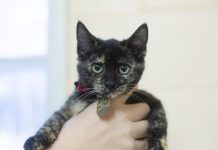 Featured Pet of The Day- Peppermint