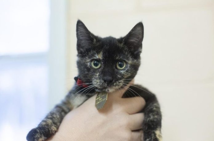 Screenshot 2025-12-15 150146