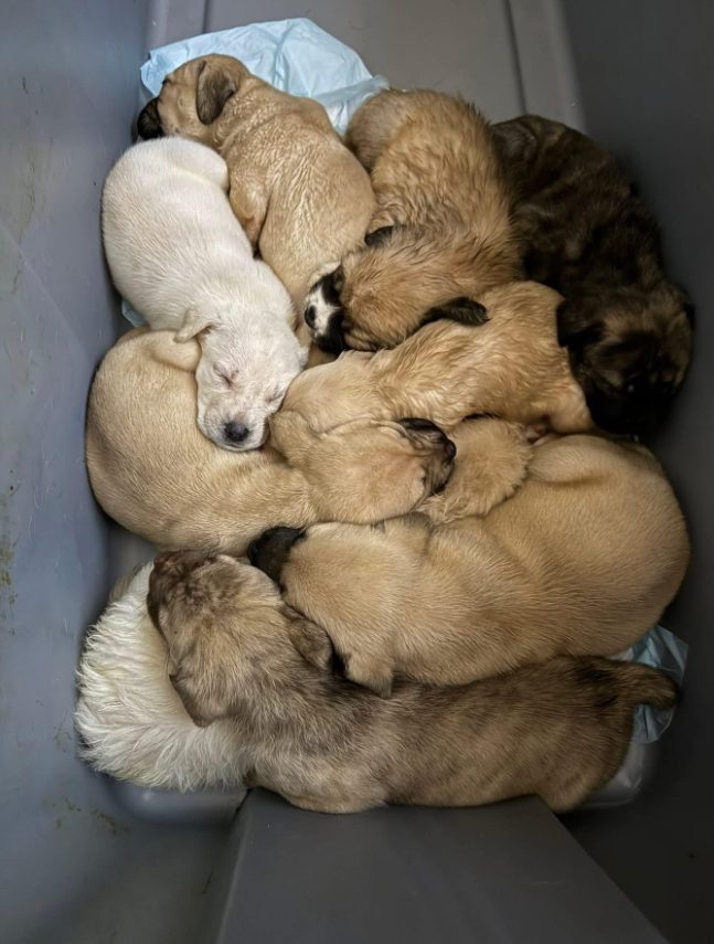 Screenshot 2025-12-29 155834