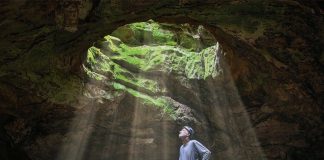 Baxter County Library to Host Nature Photographer Tim Ernst Next Weekend