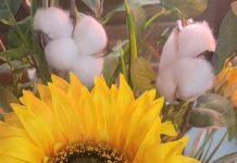 Cynthia Lorriane Aubuchon