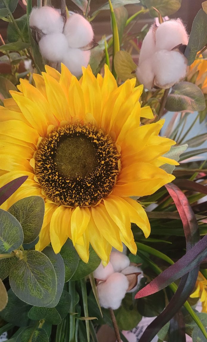 Cynthia Lorriane Aubuchon