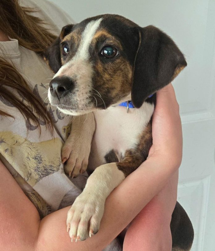 611858756_810399538690291_7410334662575441726_n