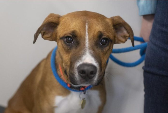 Screenshot 2026-01-12 125449