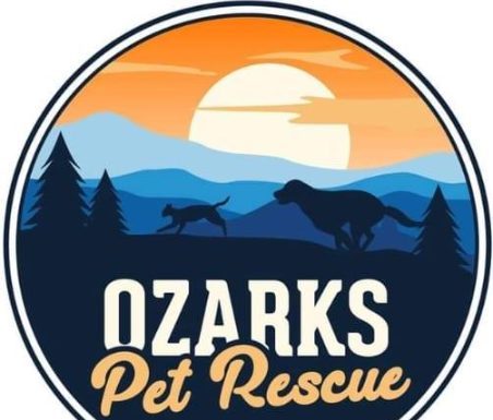 Featured Pets of The Day- (FOSTER) Coonhound Puppies