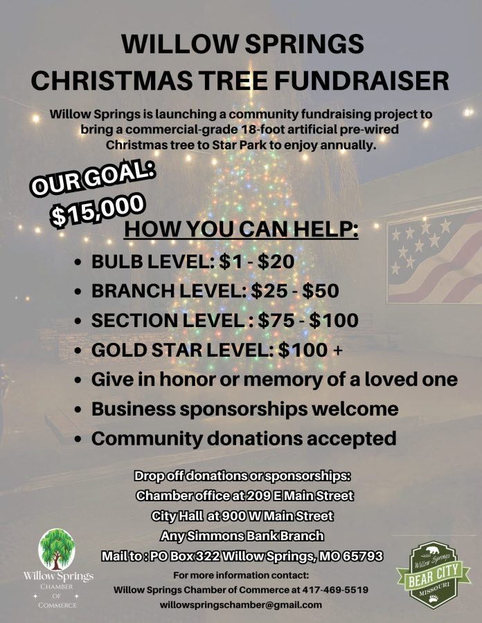 2025 Donation Flyer - Levels