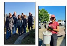 West Plains Downtown’s Civic Spruce to Happen Tomorrow