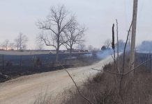 Multiple Agencies Respond to Major Grass Fire Near Plato