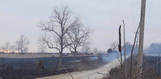 Multiple Agencies Respond to Major Grass Fire Near Plato