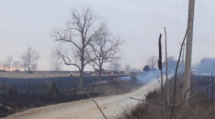 Multiple Agencies Respond to Major Grass Fire Near Plato