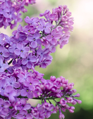 Screenshot 2026-02-04 125622