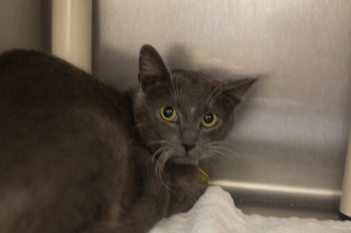 Screenshot 2026-02-18 142930