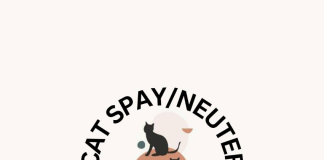 Willow Springs Friends of Ferals Releases Statistics for Last Three Years and Plans Ahead for 2026