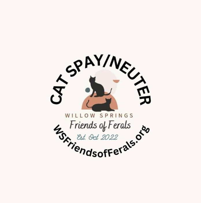 Screenshot 2026-02-23 145801