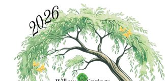 Updates on Planning for Inaugural “Bear-ly Spring Festival” in Willow Springs