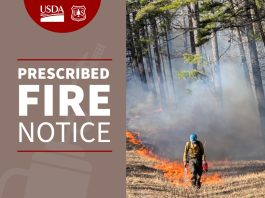 Two Prescribed Burns Planned for Mark Twain National Forest this Weekend