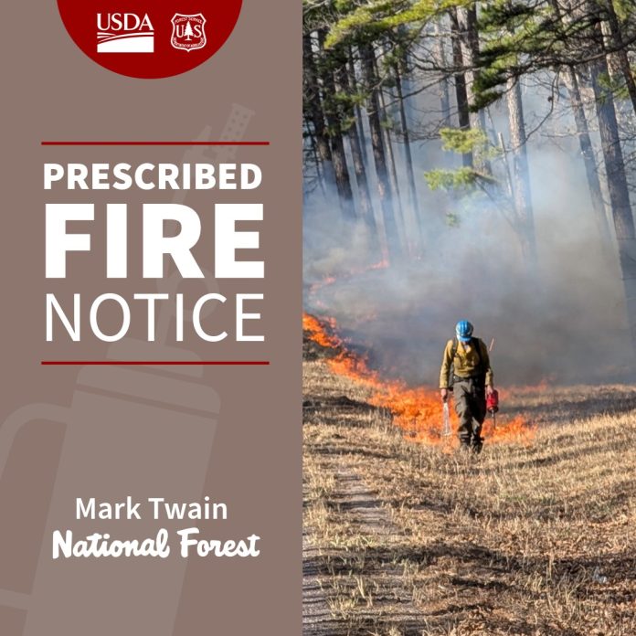 655757633_1251591117168894_3065076069192091929_n