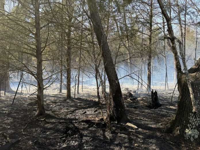 655902731_1347669274063594_1121892316880063783_n