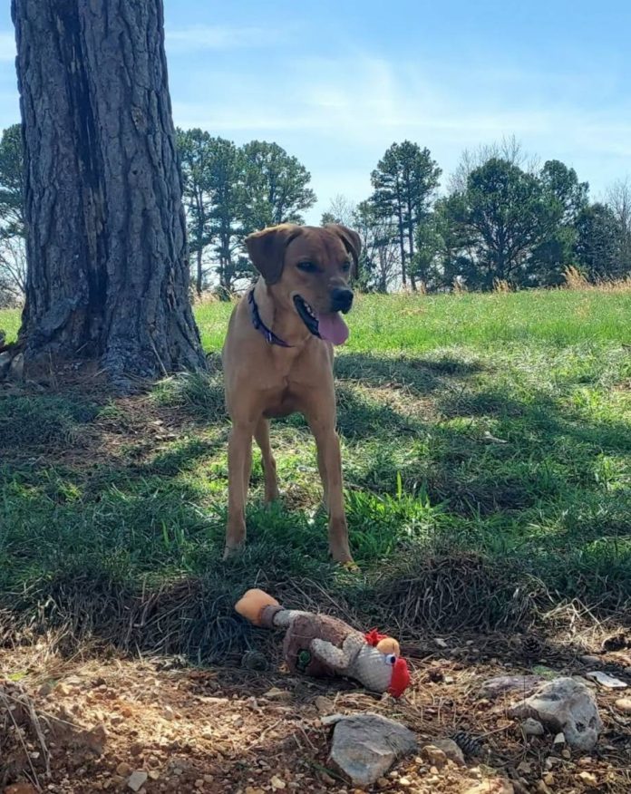 656969614_877001038696807_2013288683956341414_n