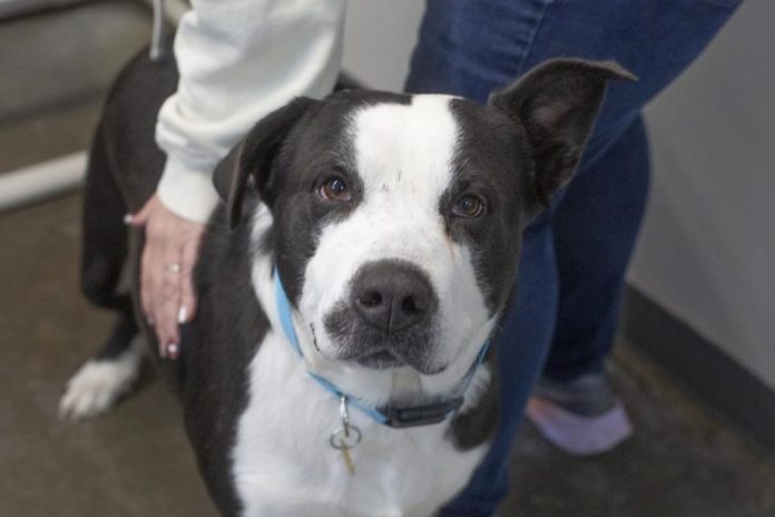 Screenshot 2026-03-02 130115