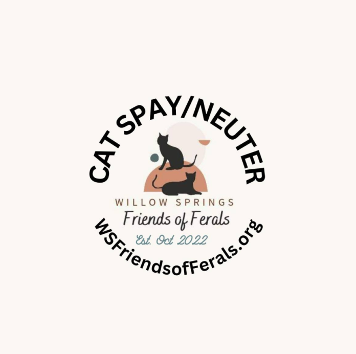 Screenshot 2026-03-11 152745