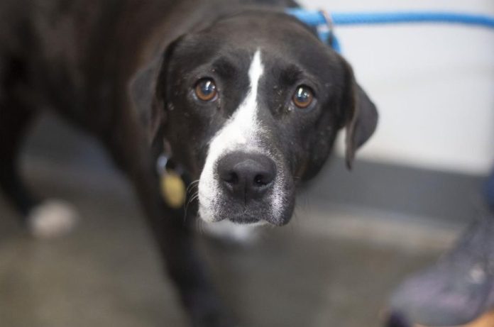 Screenshot 2026-03-16 123242